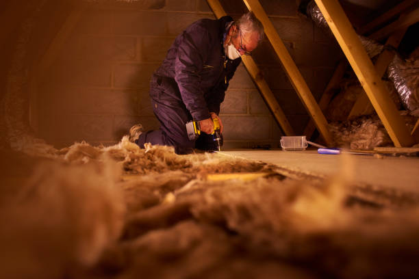 Best Professional Insulation Contractor  in West Point, GA